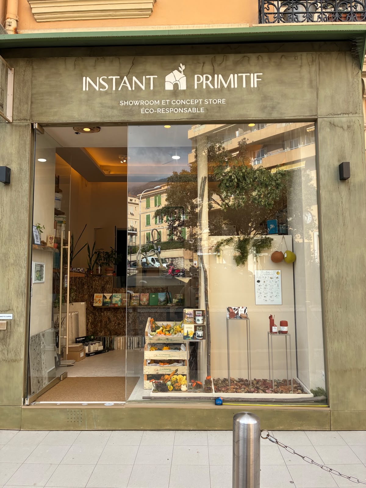 Vitrine de décoration naturelle d'automne chez Instant Primitif à Monaco : cagettes de coloquintes, branche verticale et tapis de feuilles mortes