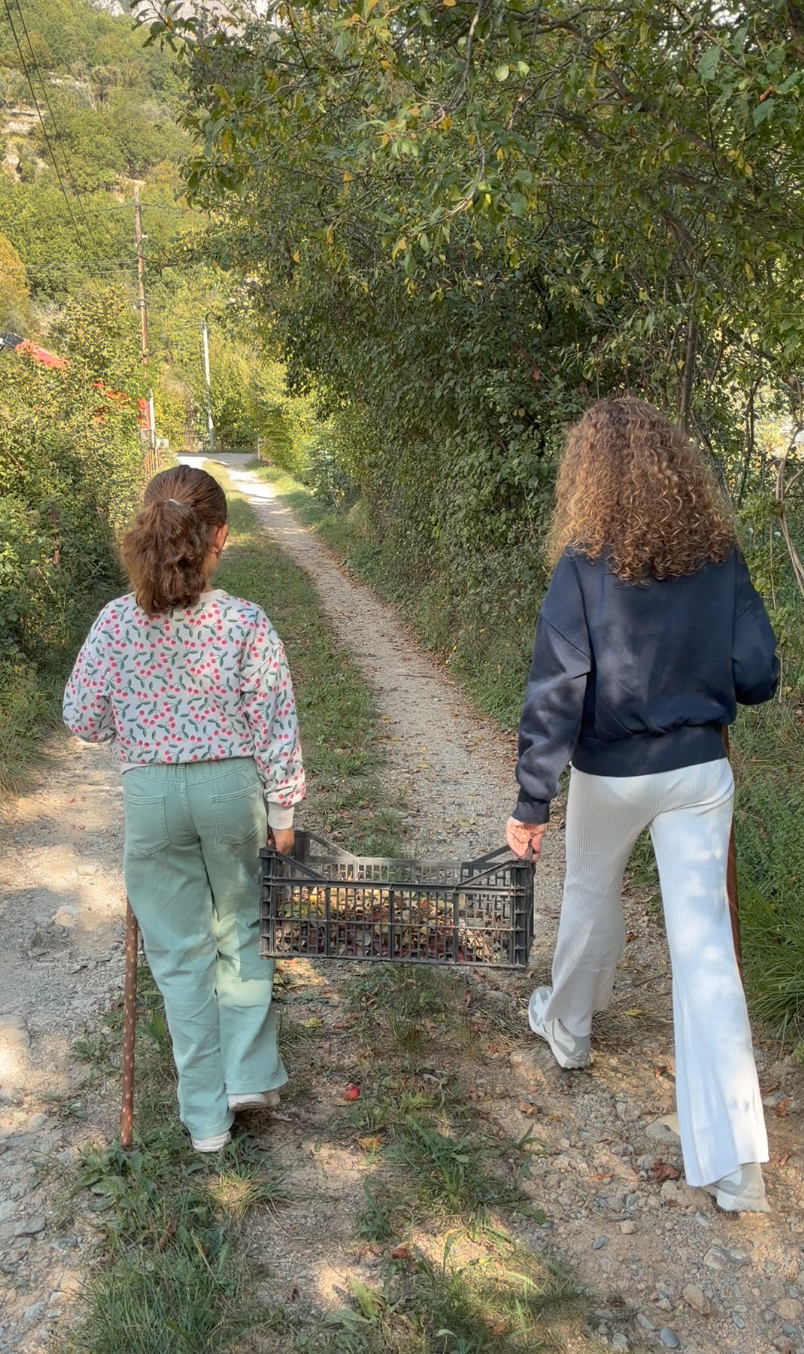 enfants qui ramassent des feuilles dans la nature